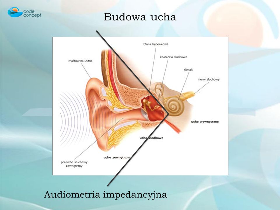 Audiometría que es y para que sirve